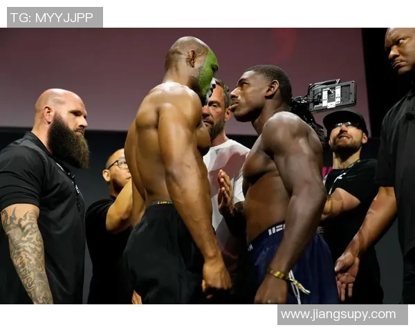 MMA格斗之夜：KO瞬间集锦